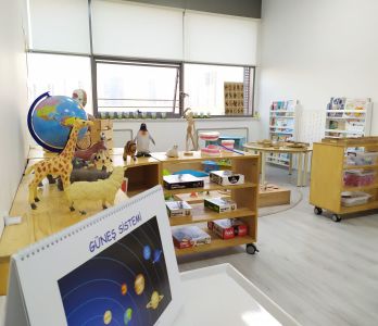 Ceviz Çocuk Susuz Kreş ve Anaokulu Ceviz Çocuk Susuz Kreş ve Anaokulu