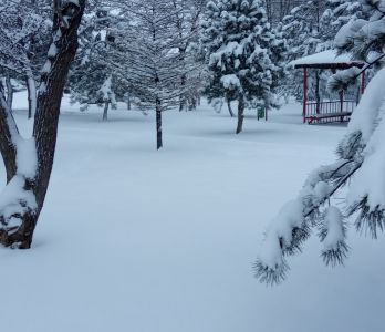 İlkadım Kreş ve Gündüz Bakımevi İlkadım Kreş ve Gündüz Bakımevi