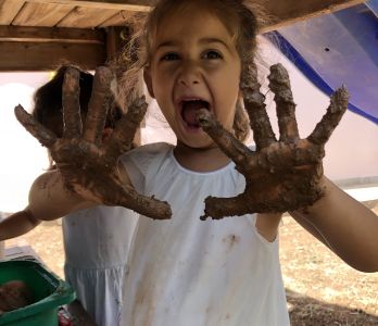 Didim Meraklı Koala Didim Meraklı Koala