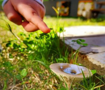 Ant Çocuk Akademi Adana Anaokulu ve Kreş Ant Çocuk Akademi Adana Anaokulu ve Kreş