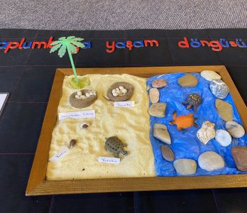 Bir Montessori Anaokulu Bir Montessori Anaokulu