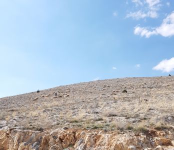 Emirdağ Merkez Anaokulu Emirdağ Merkez Anaokulu