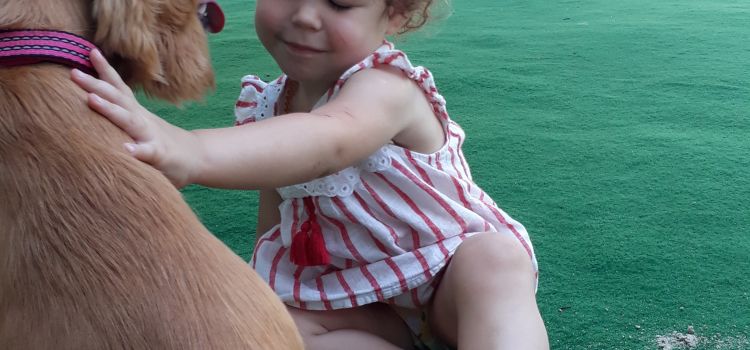 MAVİ ADA MONTESSORİ ANAOKULU