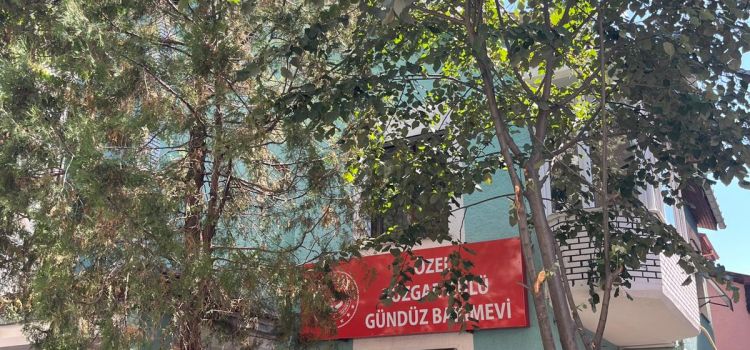 Rüzgar Gülü Kreş Ve Gündüz Bakim Evi