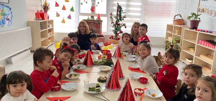 MAVİ ADA MONTESSORİ ANAOKULU