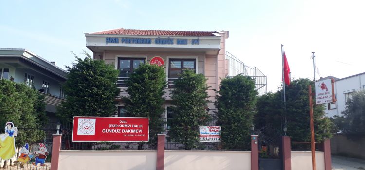 Özel Şeker Kırmızı Balık Gündüz Bakım Evi