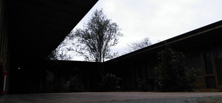 Düşler Akademisi