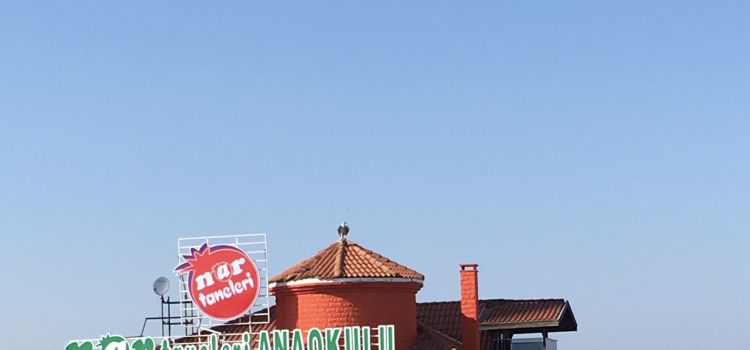 Samsun Nar Taneleri Kreş ve Gündüz Bakım Evi Atakum