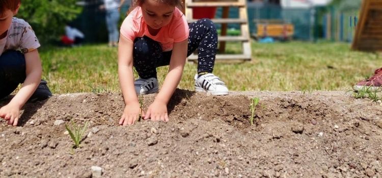 Green Future School
