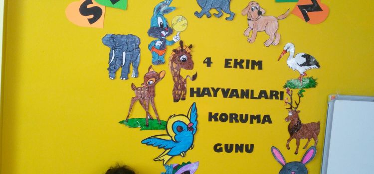 Özel İsabet Binevler Anaokulu