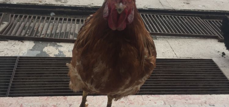 Şehit Teğmen Doğuş Uran Anaokulu