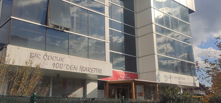 Bilge Baykuş Okulları