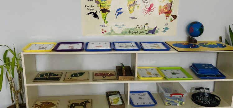 Yonca Montessori Anaokulu