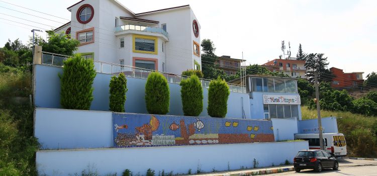 Masal Dunyasi Anaokulu