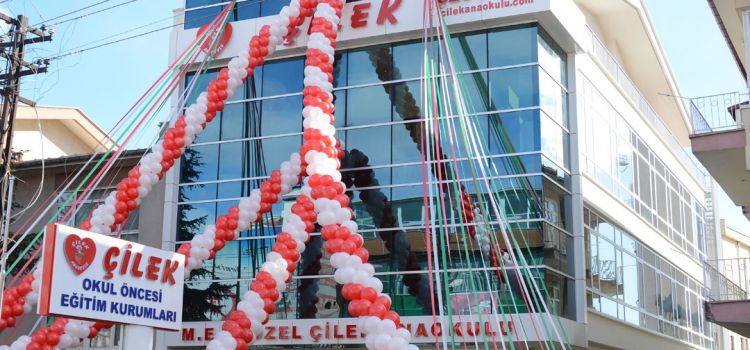 Kırmızı Çilek Kreş ve Anaokulu