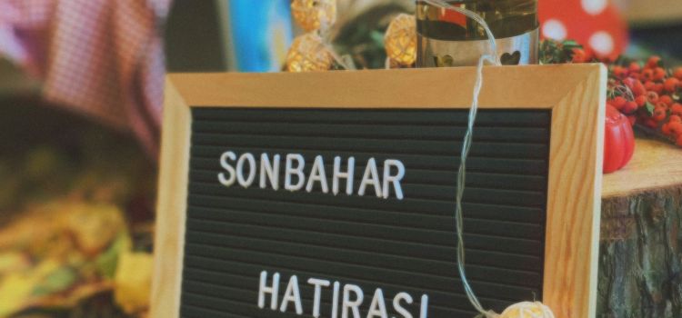 Özel Afyonkarahisar Gözbebeği Anaokulu
