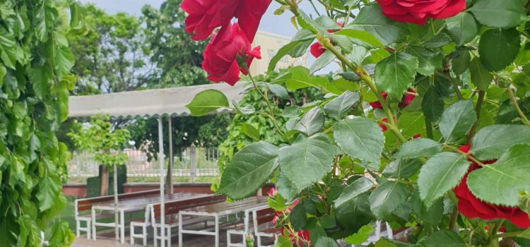 Yalın İlgi Kreş ve Anaokulu Çankaya Ankara