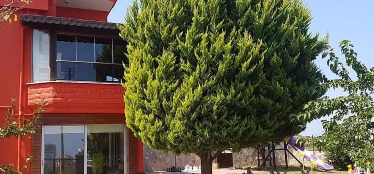 Samsun Nar Taneleri Kreş ve Gündüz Bakım Evi Atakum