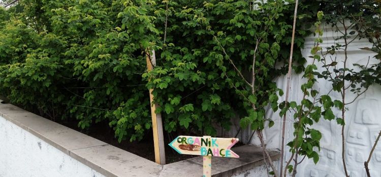 Bahçem Anaokulu Kayseri