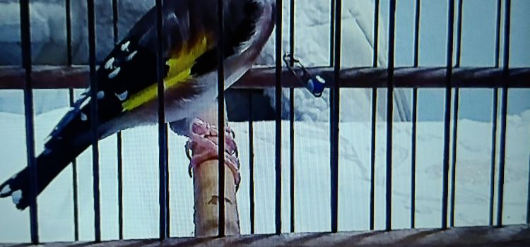 vilayetler hizmet birliği anaokulu