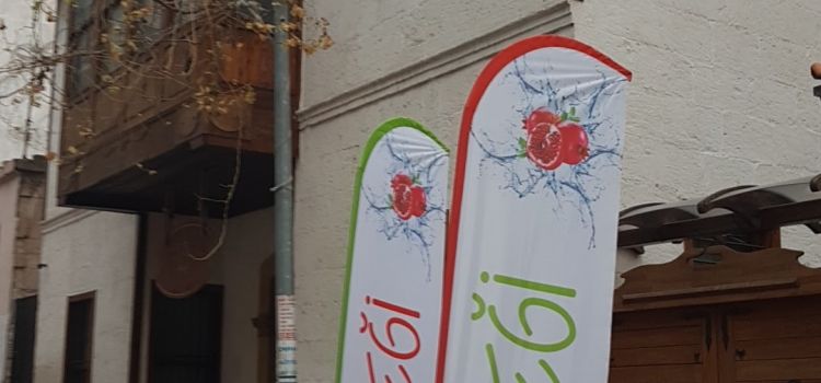 Nar Çiçeği Kreş & Gündüz Bakım Evi