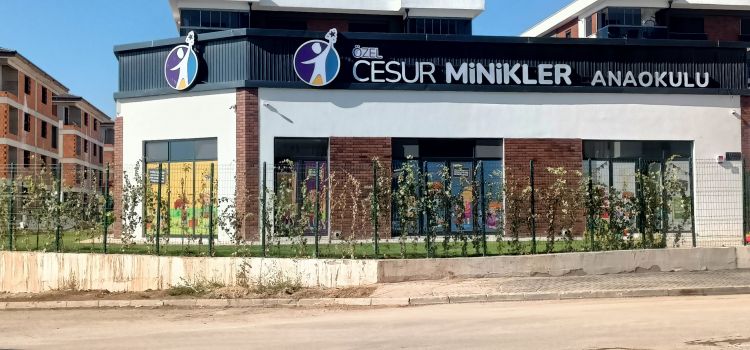 Özel Cesur Minikler Anaokulu Vadişehir