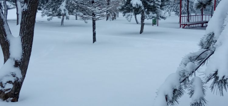 İlkadım Kreş ve Gündüz Bakımevi