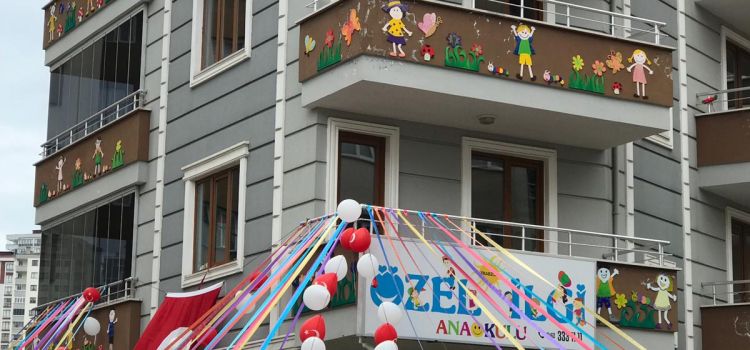 Özel İlgi Anaokulu