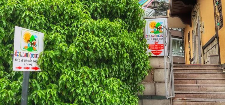 Özel Dahi Çocuklar Kreş Gündüz Bakımevi
