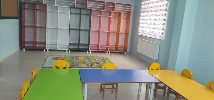 Iğdır Amerikan Kültür Kids Kreş & Anaokulu