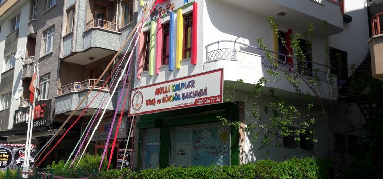 Akıllı Kalpler Kreş ve Gündüz Bakımevi