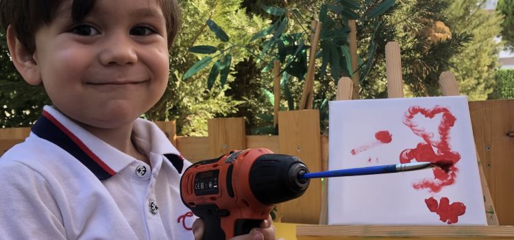 Didim Meraklı Koala