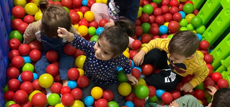 Ozel Karinca Cocuk Yuvasi