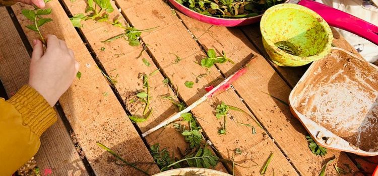 5 parmak -Özel kreş ve Gündüz bakımevi