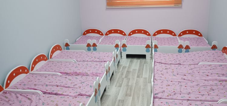 Nova Çocuk Gelişim Akademisi