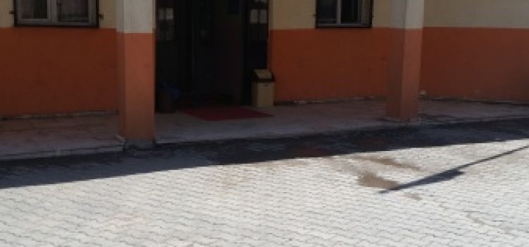 Nuhun Gemisi Anaokulu