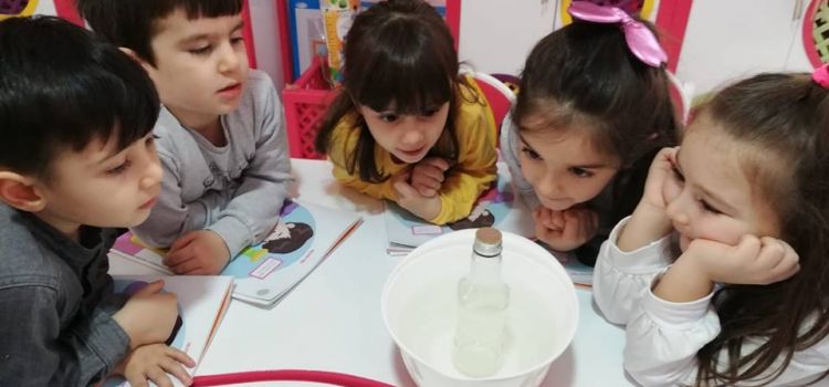 Yeşil İz Yuva