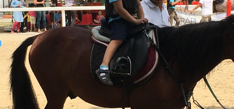 Zeytinburnu Şirinler Anaokulu-Kreş Zeytinburnu Kreş-zeytinburnu anaokullari-özel anaokulu