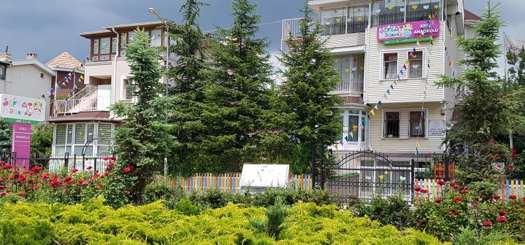 Şefkat Dünyası Anaokulu ve Etüt Merkezi