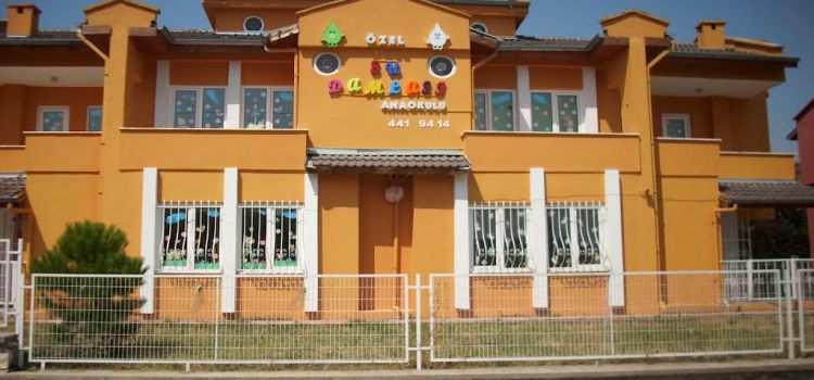 Özel Su Damlası Anaokulu