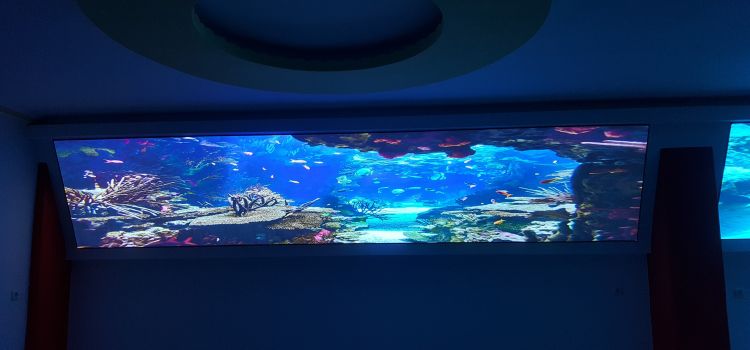 Didim Cocuk Akademisi