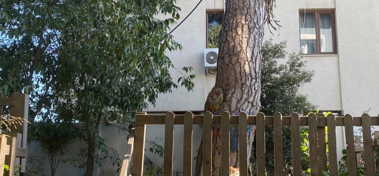 Meşepalamudu Çocuk Evi