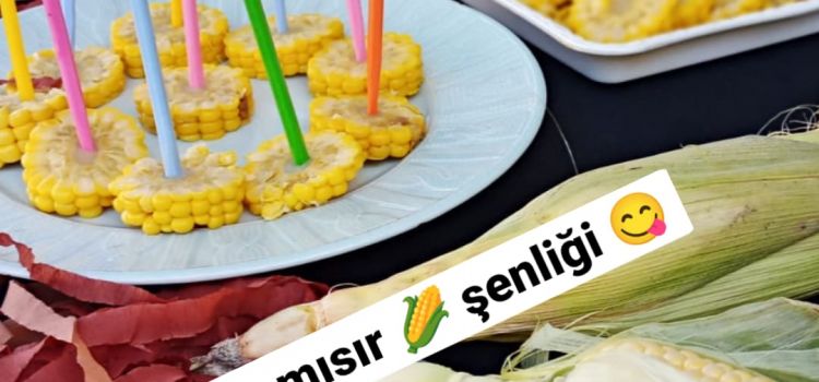 SEVGİ YOLU KREŞ VE ANAOKULU ETİMESGUT KREŞ - ETİMESGUT ANAOKULU