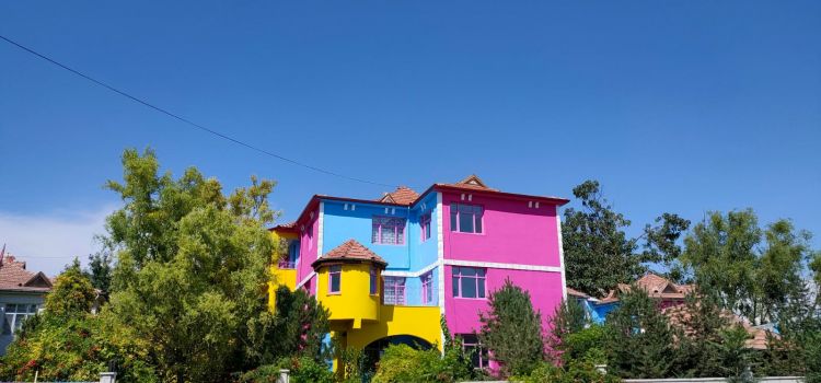 Iğdır Amerikan Kültür Kids Kreş & Anaokulu