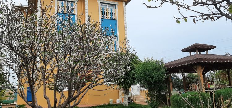 Mersin Orman Anaokulu