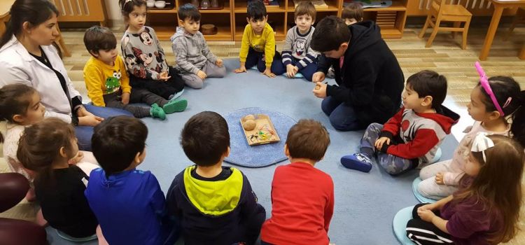 Arı Akademi Montessori Okulu