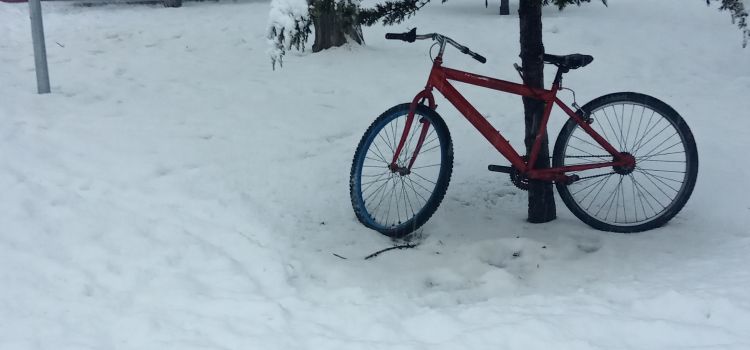 İlkadım Kreş ve Gündüz Bakımevi