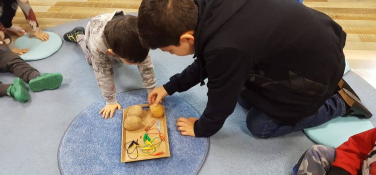 Arı Akademi Montessori Okulu