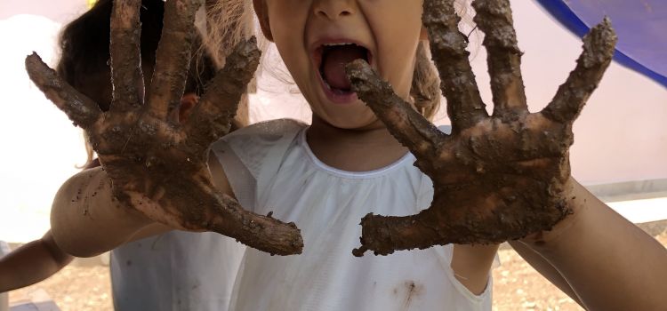 Didim Meraklı Koala