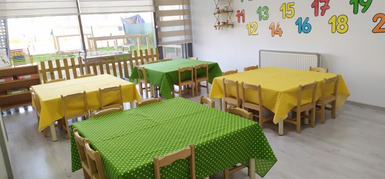 Ceviz Çocuk Susuz Kreş ve Anaokulu